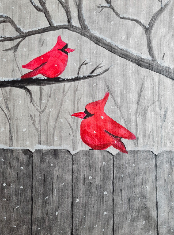 Marche à suivre: Les cardinaux rouges en hiver